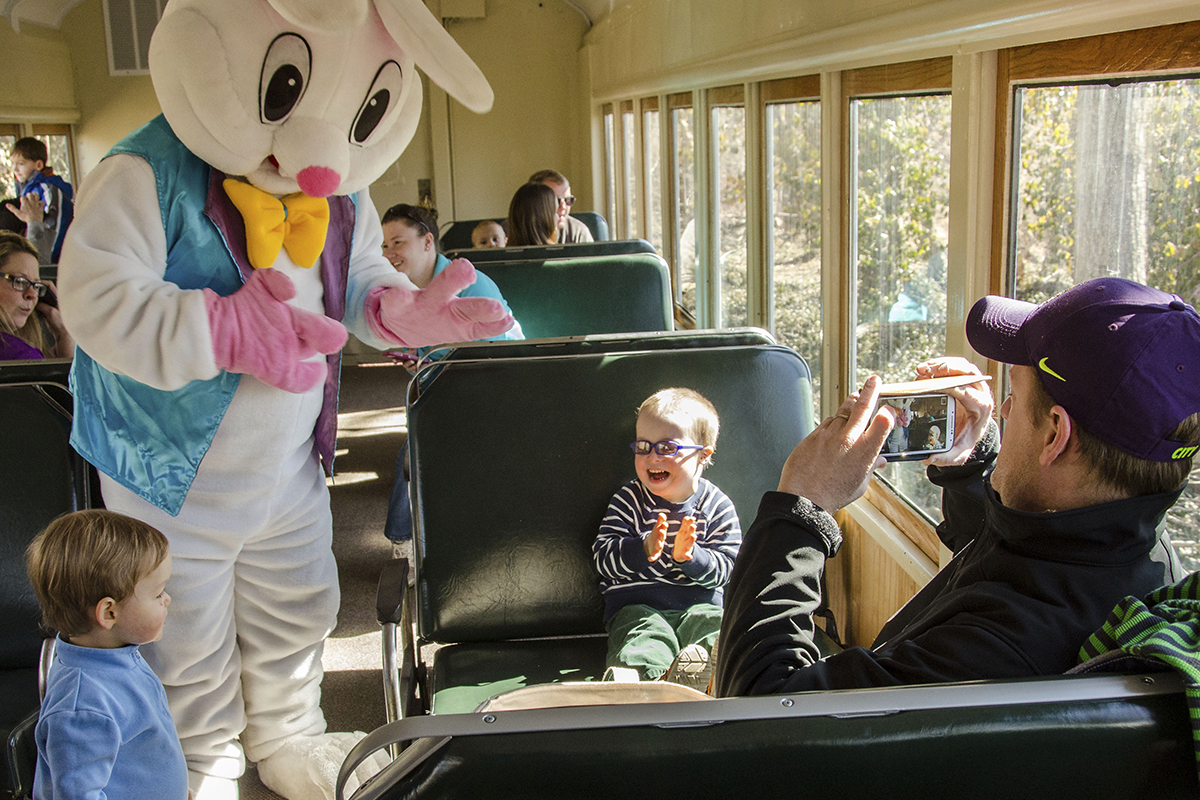Easter bunny on a train