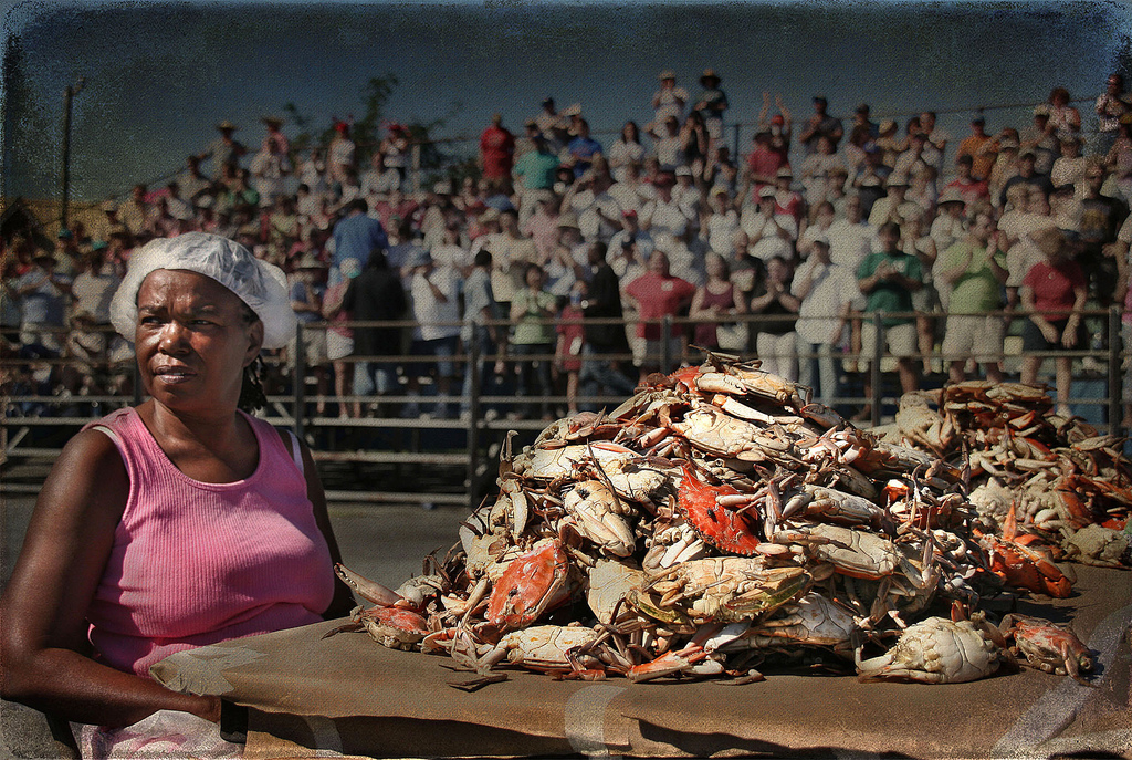 National Hard Crab Derby in Crisfield - Crab Picking Competition