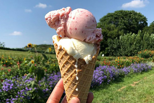 Ice Cream Cone with Vanilla and Strawberry Ice Cream