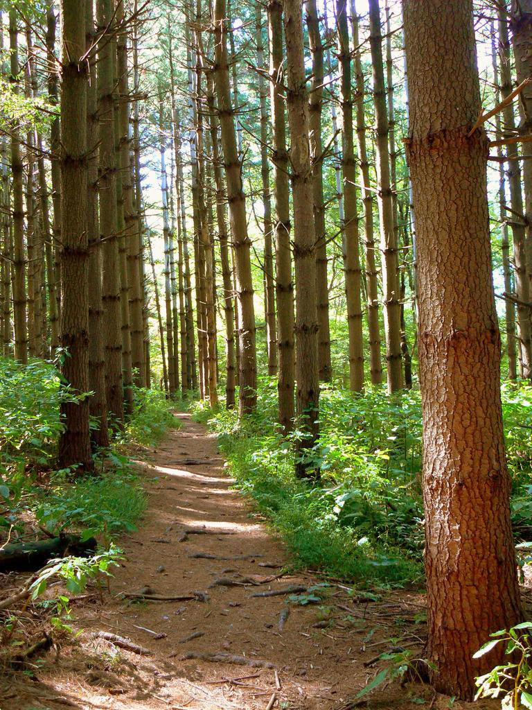 Seneca Creek State Park, Gaithersburg