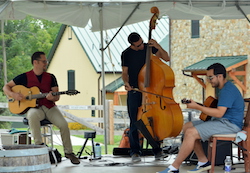 bluegrass performers