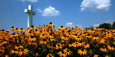 St. Clements Cross with a field of Black-Eyed Susans