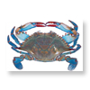 crab
