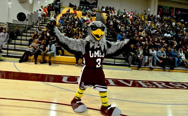 University of Maryland Eastern Shore Mascot