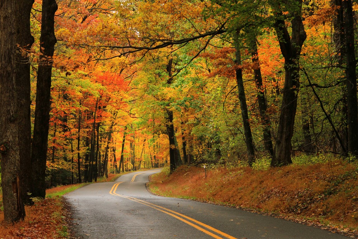 Autumn Glory Festival
