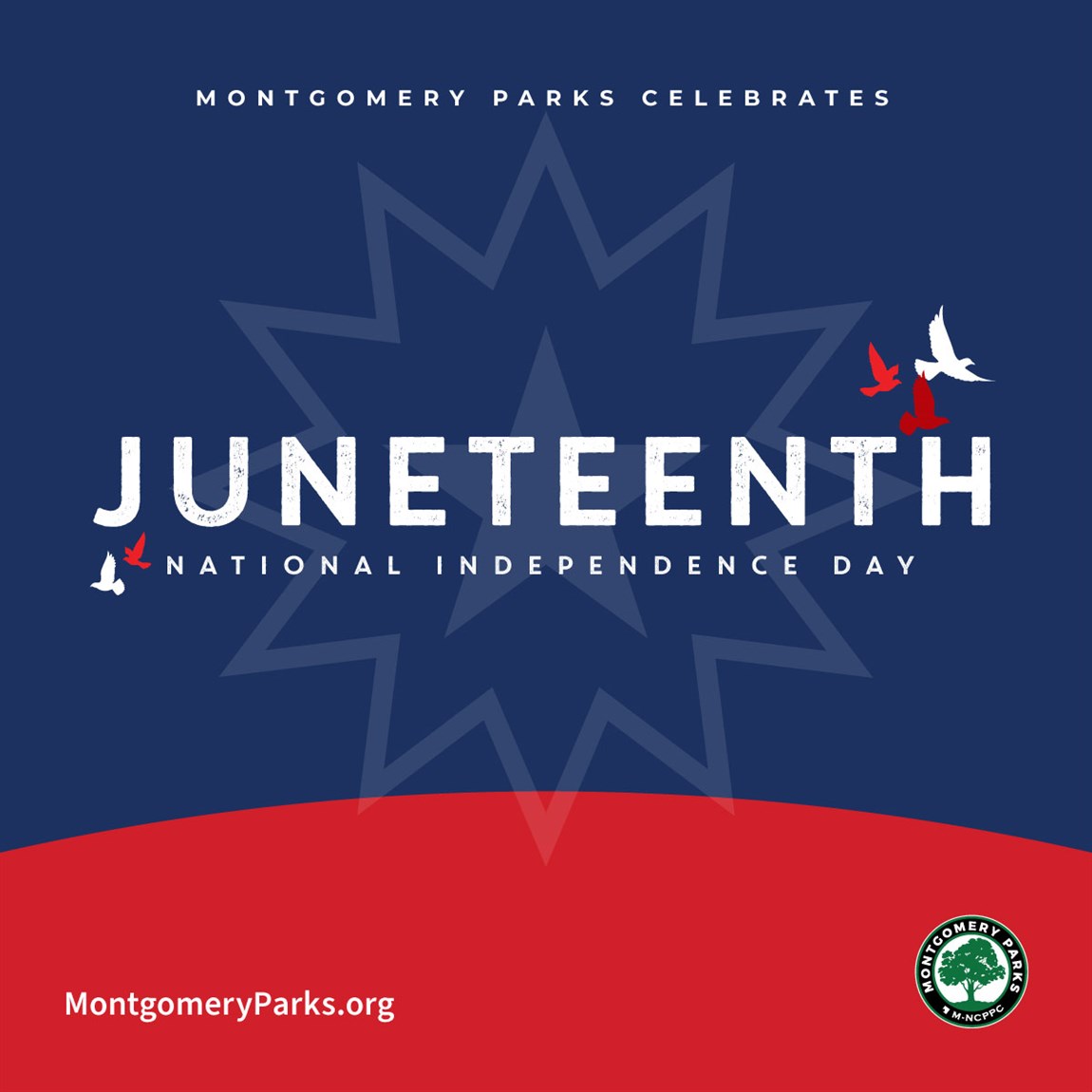 juneteenth-weekend-at-woodlawn-manor-cultural-park-2022-06-18