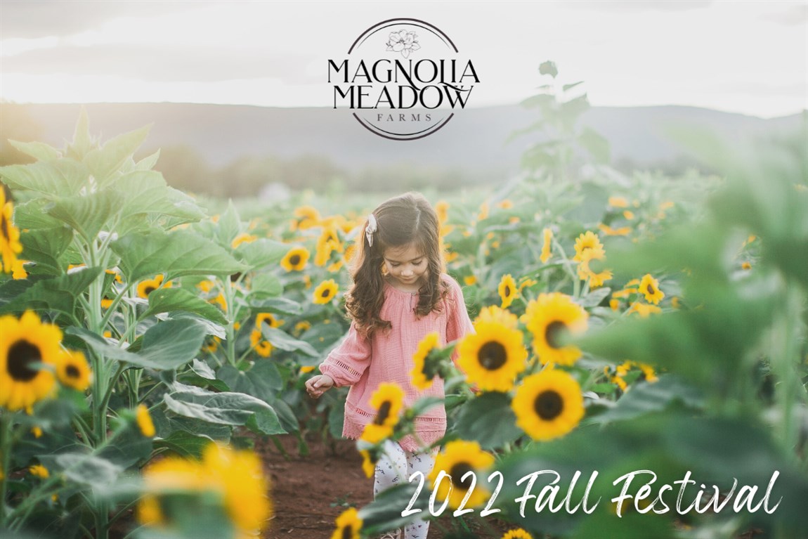 Fall Festival at Magnolia Meadow Farms