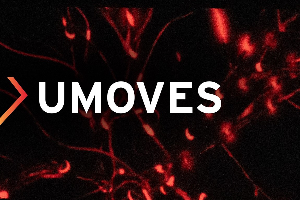 umoves-2025-05-02-visitmaryland