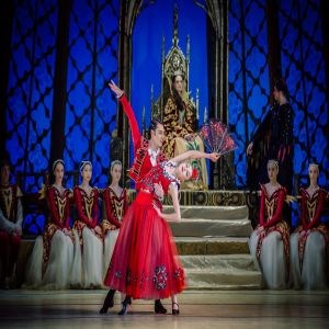 NATIONAL BALLET OF UKRAINE SWAN LAKE visual data 6