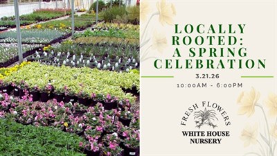 Locally Rooted Photo