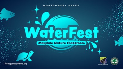 WaterFest Photo
