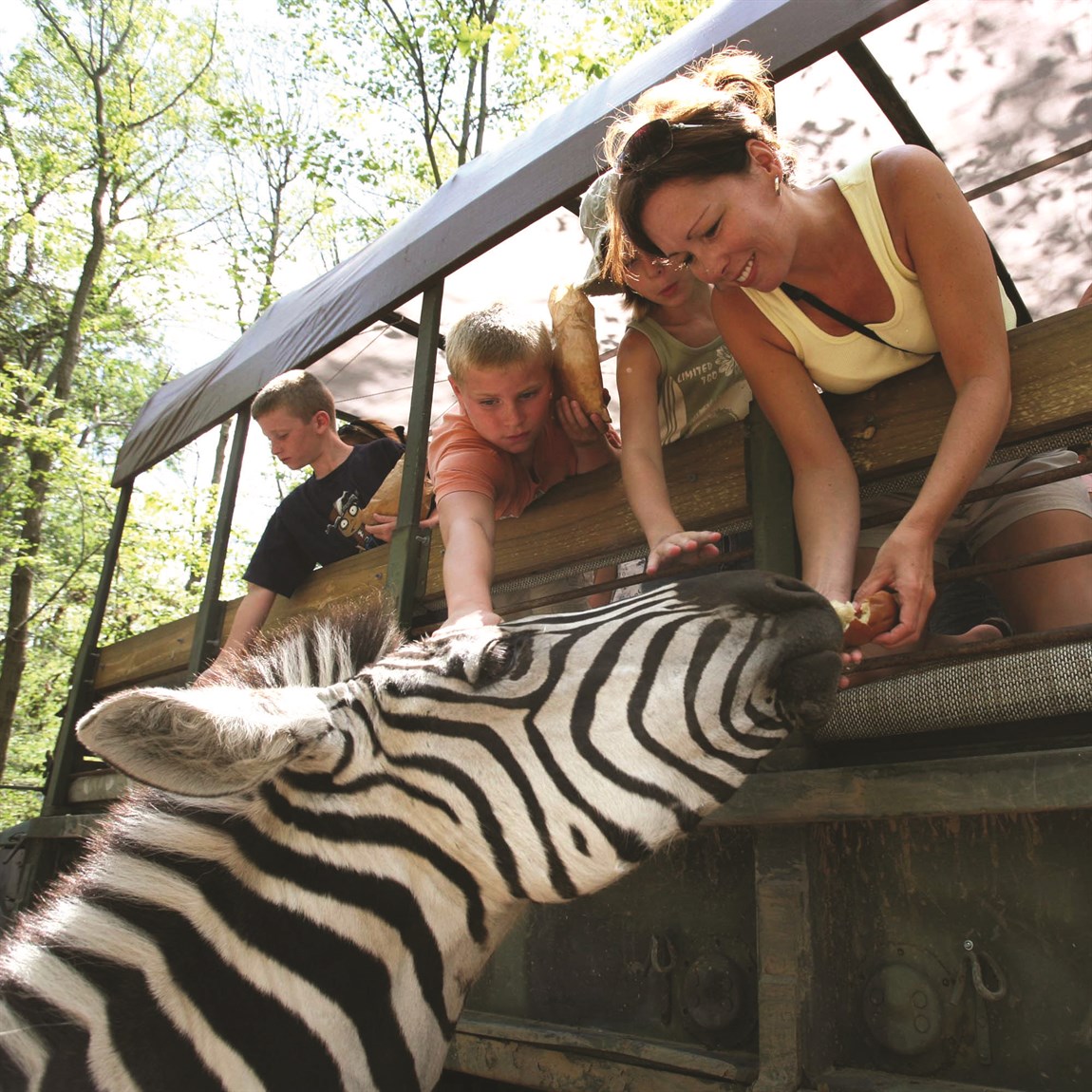 Catoctin Wildlife Preserve & Zoo | VisitMaryland.org