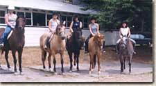 Horse riding at horse farm Photo
