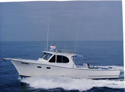 &quot;Fish Finder&quot; Photo