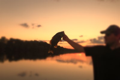 Photo Credit: Shallow Water Fishing Adventures Photo