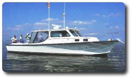 Tracy Lynn Charters Photo