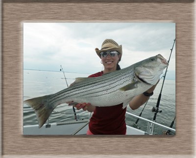 download big worm fishing charters download big worm fishing charters