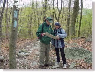 Appalachian National Scenic Trail Photo