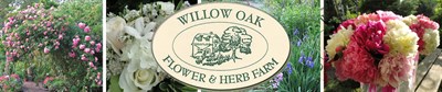 Willow Oak Flower & Herb Farm Photo