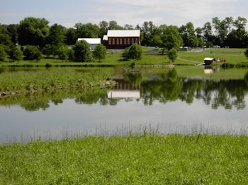 Larriland barn Photo