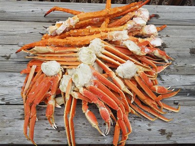 Crab legs Photo