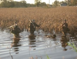 Gatling Guide Service Photo