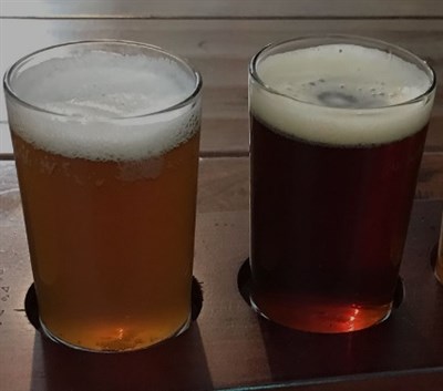 Beer in glasses Photo