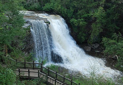 Swallow Falls State Park Map Swallow Falls State Park | Visitmaryland.org