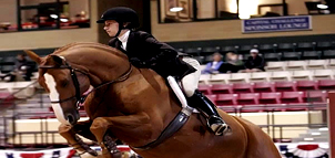 Prince Georges Co Equestrian Center and Show Place Area Photo