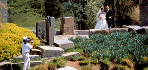 Brookside Gardens wedding Photo