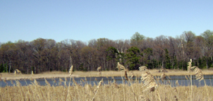 North Point State Park Photo