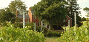 Mount Felix Vineyards & Winery Photo