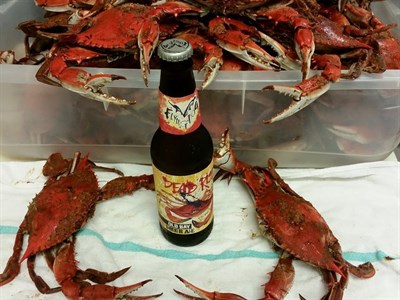 Crabs and beer Photo