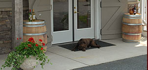 Harford Vinyard &amp; Winery Photo