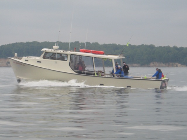 The Bay Hunter Charter Boat on the Bay. Photo