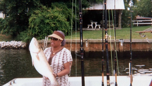 Catch of the day on Renegade Fishing Charter Photo