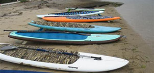 Shore Pedal and Paddle Photo
