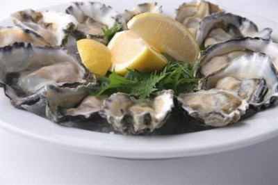 oysters Photo
