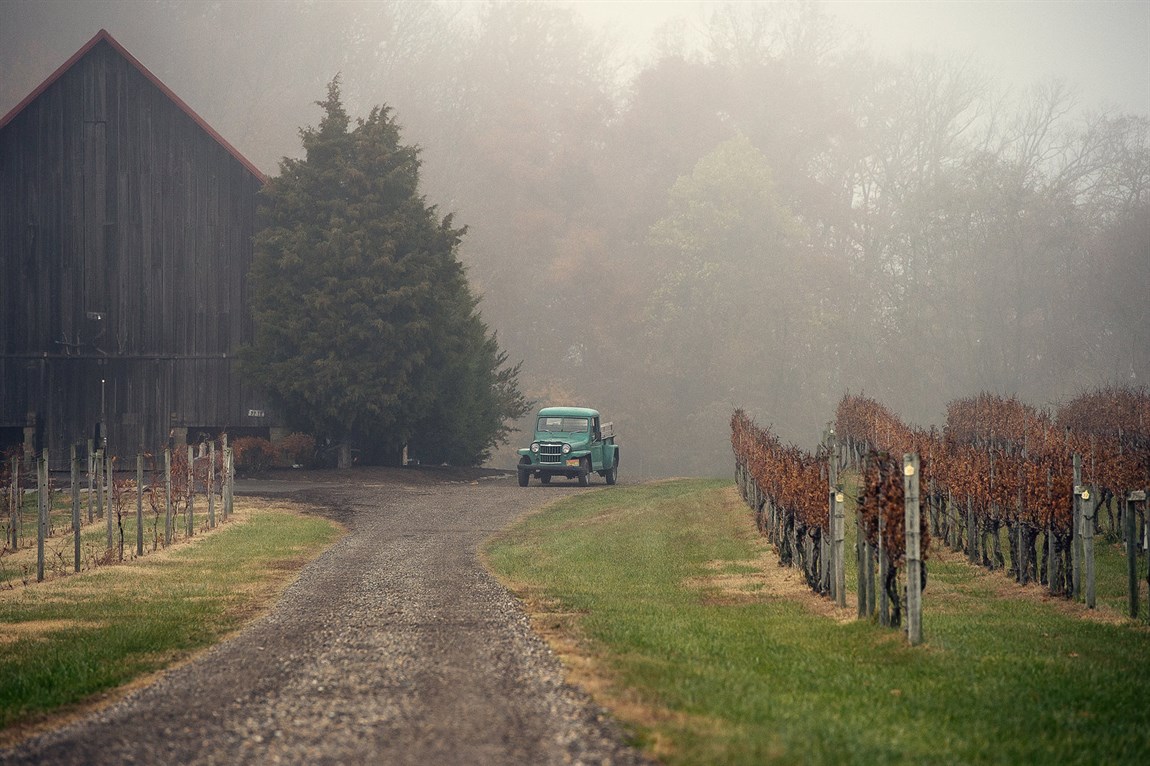 Great Frogs Winery, Annapolis MD
