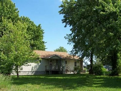 Deal Island Bay Cottage Photo