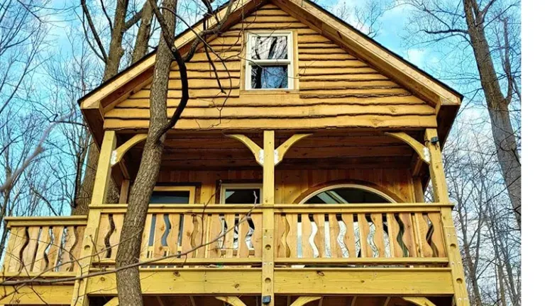 Tree House cottage