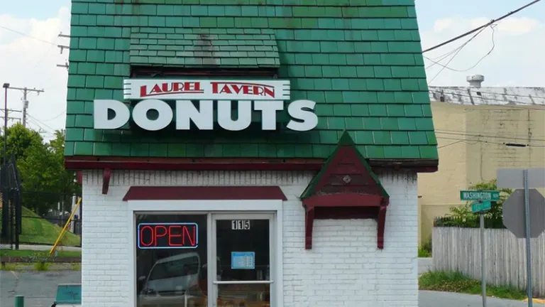 Donut hut