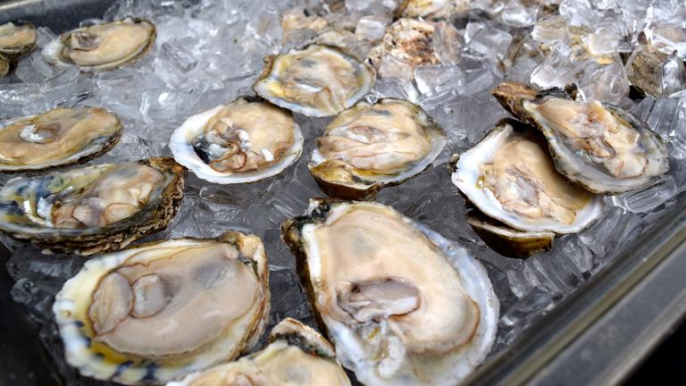 Shucked oysers on ice