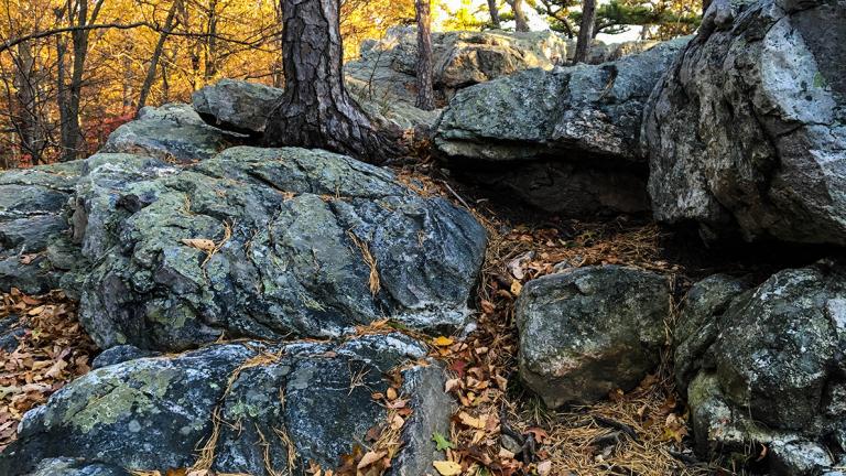 Catoctin Mountain Park