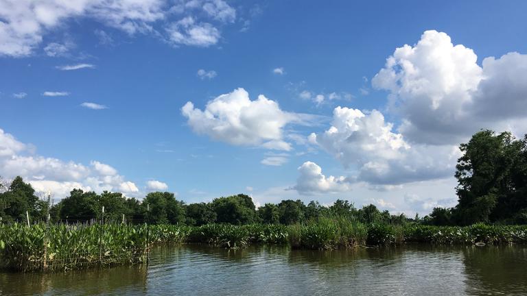 Anacostia River