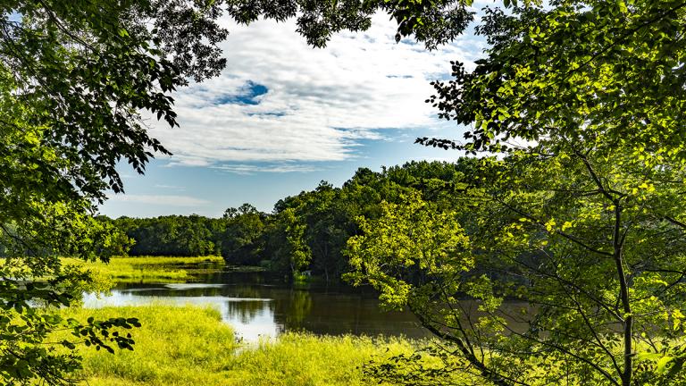 park with river