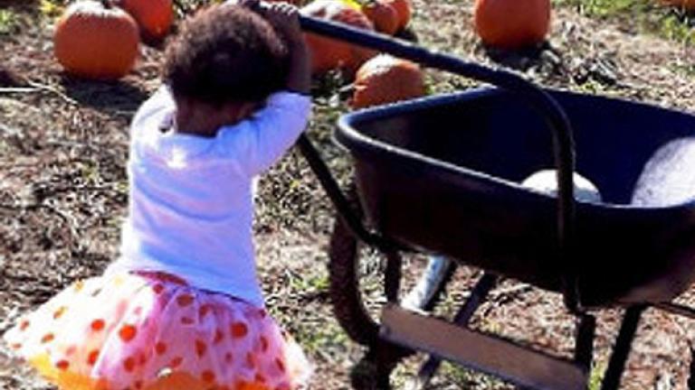 LIttle girl pushing a wagon with pumpkins