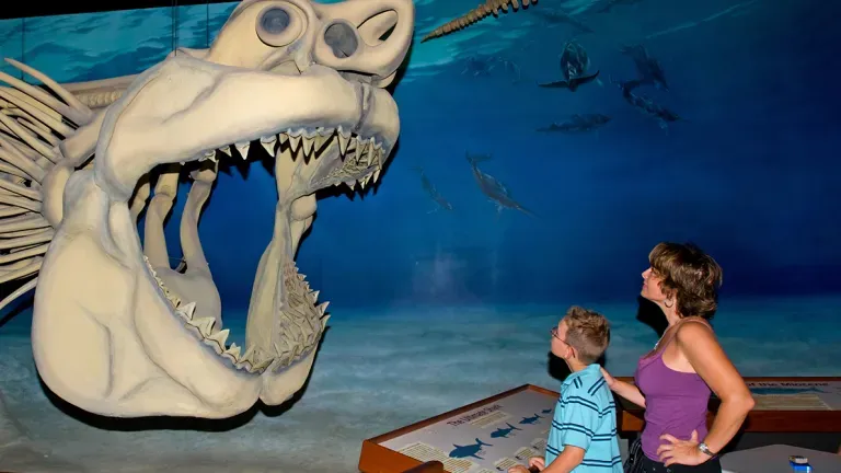 Calvert Marine Museum-Mason & Chandra  at  Megalodon-model