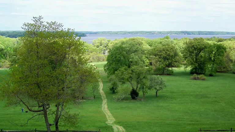 Chapman State Park