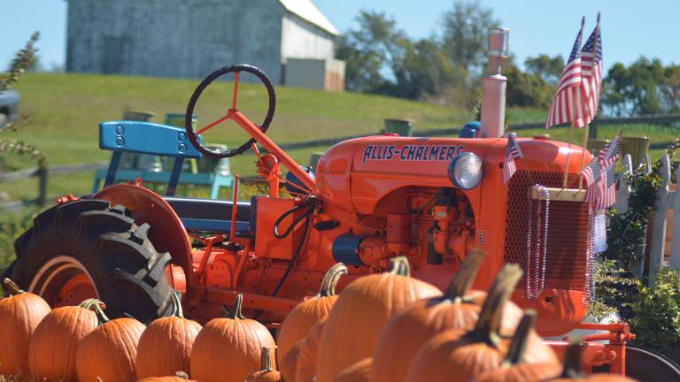 Picture of a Farm Tractor and Pumpkins.